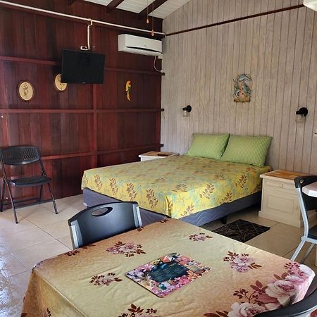 Dolphin Inn Guesthouse & Apartments Christ Church Esterno foto