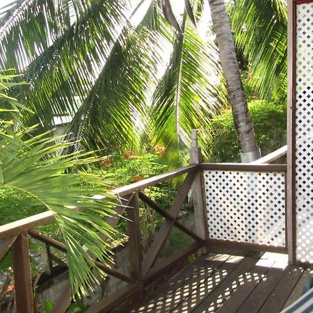 Dolphin Inn Guesthouse & Apartments Christ Church Esterno foto