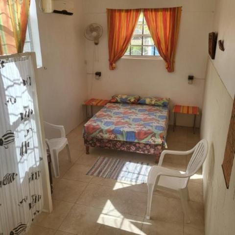 Dolphin Inn Guesthouse & Apartments Christ Church Esterno foto