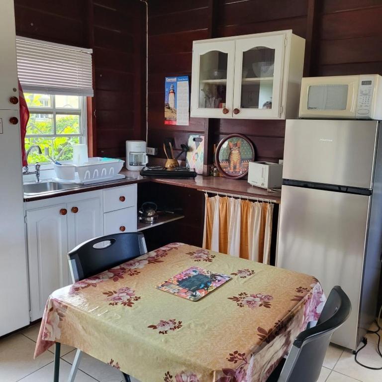 Dolphin Inn Guesthouse & Apartments Christ Church Esterno foto