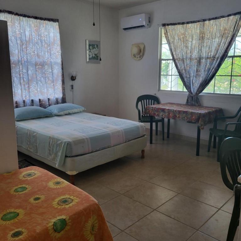 Dolphin Inn Guesthouse & Apartments Christ Church Esterno foto