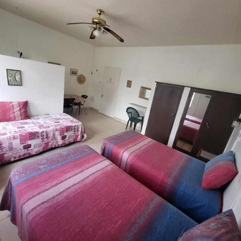 Dolphin Inn Guesthouse & Apartments Christ Church Esterno foto
