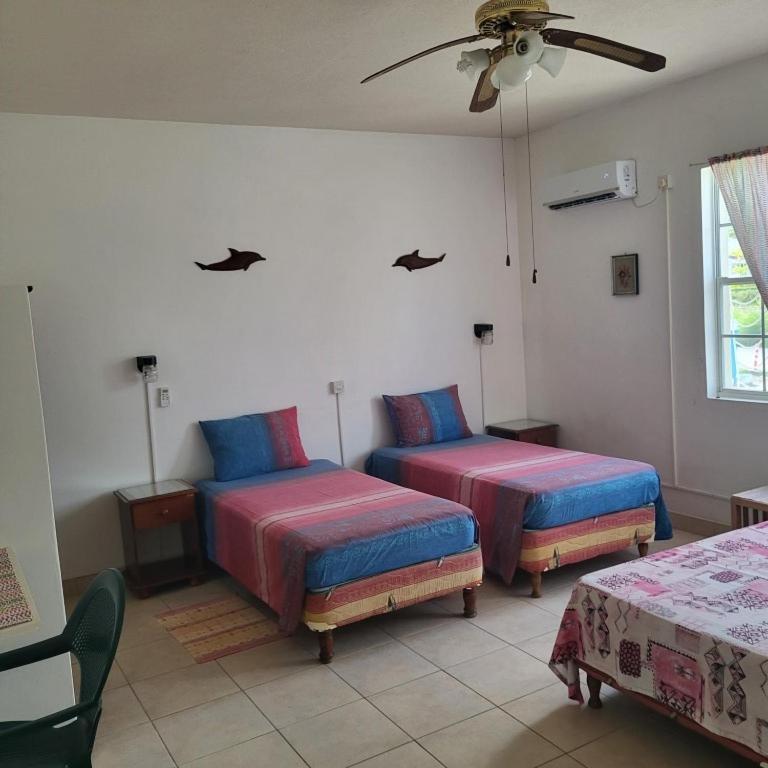 Dolphin Inn Guesthouse & Apartments Christ Church Esterno foto