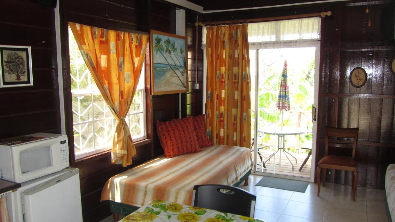 Dolphin Inn Guesthouse & Apartments Christ Church Esterno foto