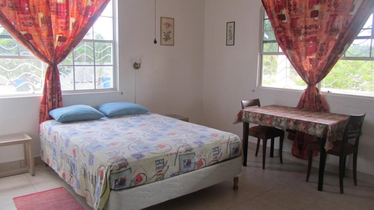 Dolphin Inn Guesthouse & Apartments Christ Church Esterno foto