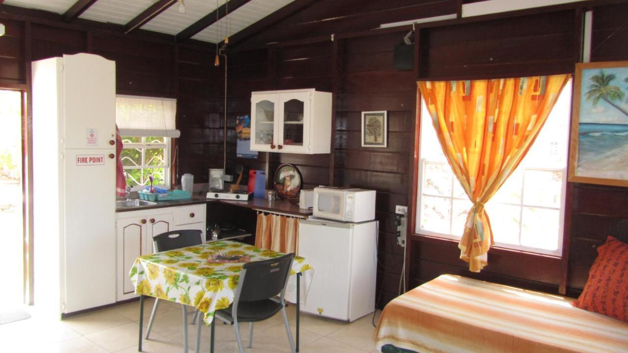 Dolphin Inn Guesthouse & Apartments Christ Church Esterno foto