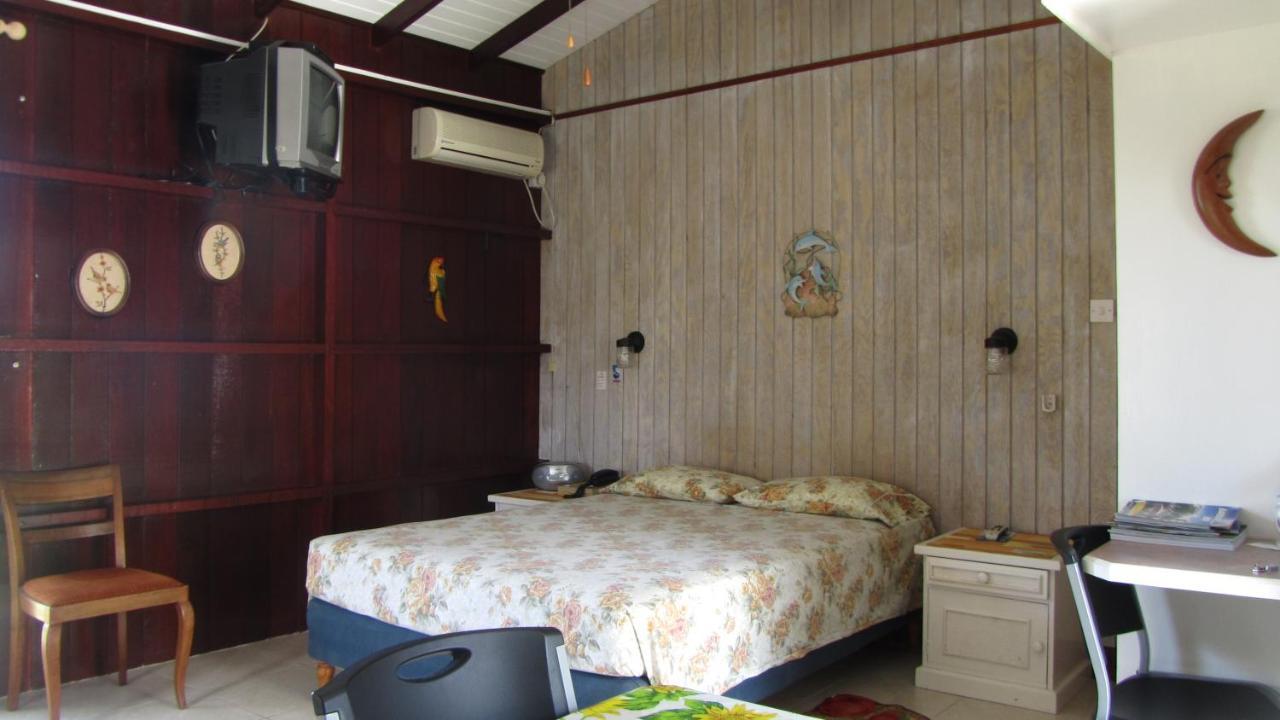 Dolphin Inn Guesthouse & Apartments Christ Church Esterno foto