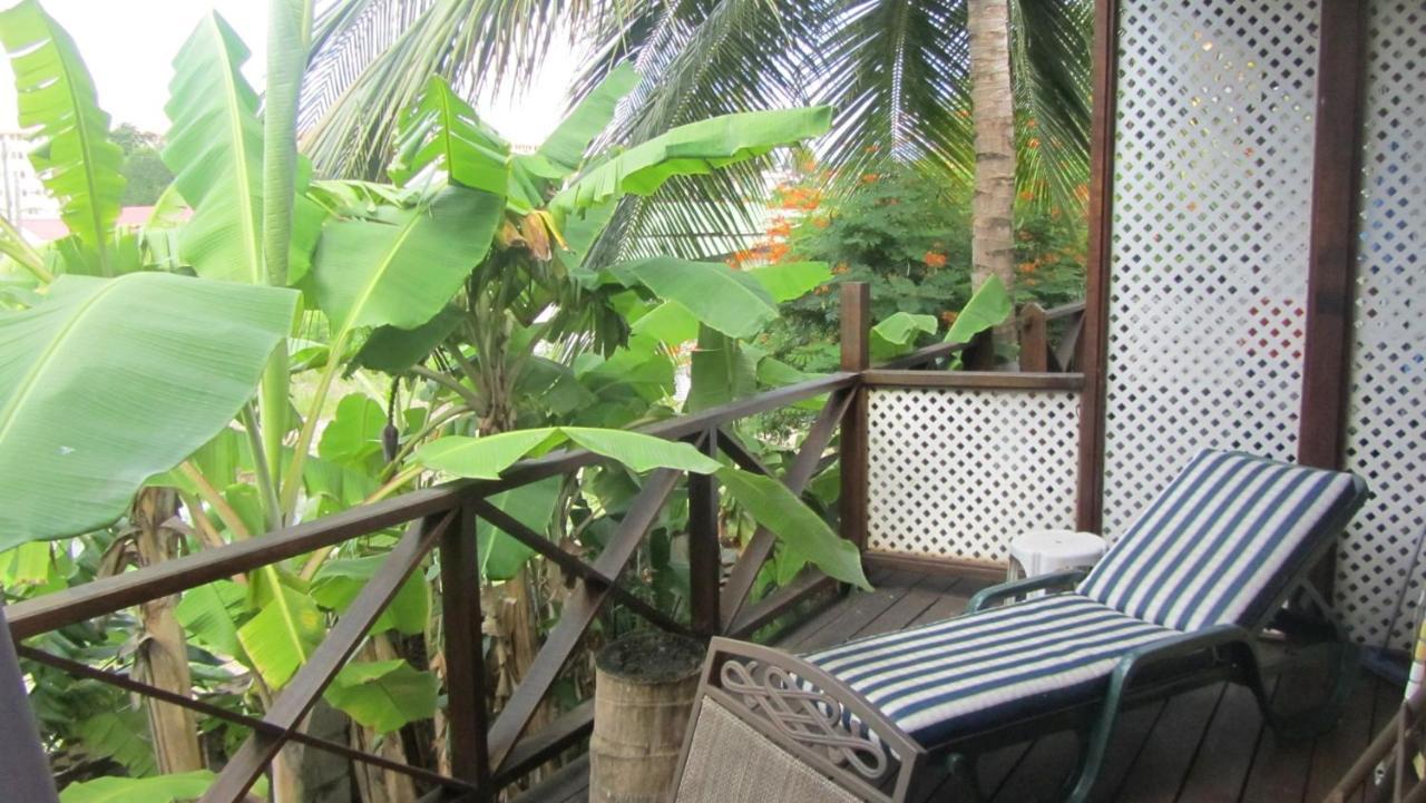 Dolphin Inn Guesthouse & Apartments Christ Church Esterno foto