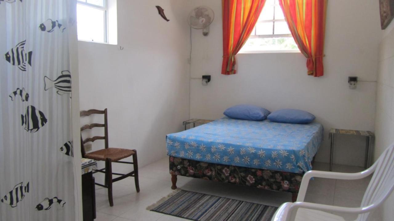 Dolphin Inn Guesthouse & Apartments Christ Church Esterno foto