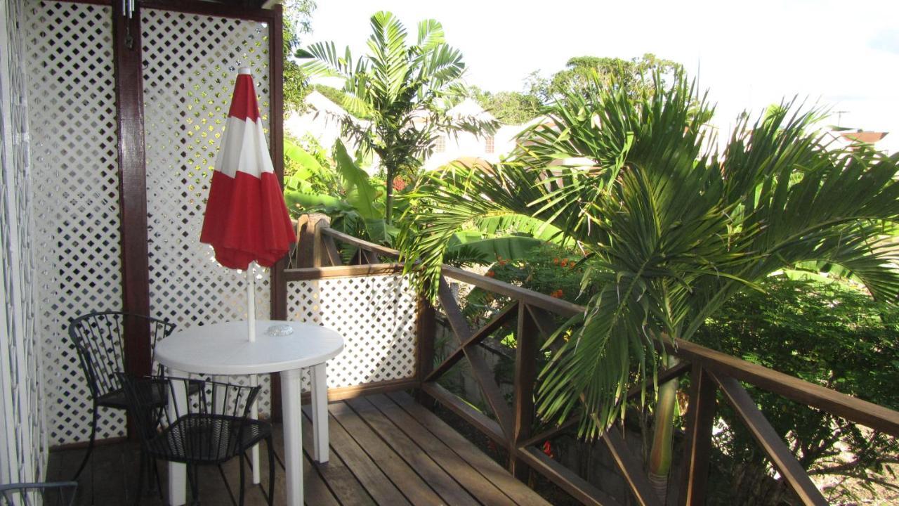 Dolphin Inn Guesthouse & Apartments Christ Church Esterno foto