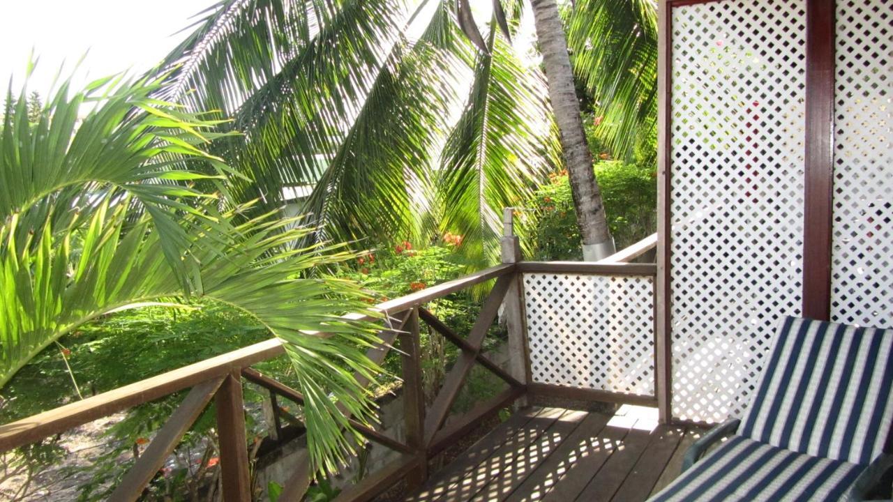 Dolphin Inn Guesthouse & Apartments Christ Church Esterno foto