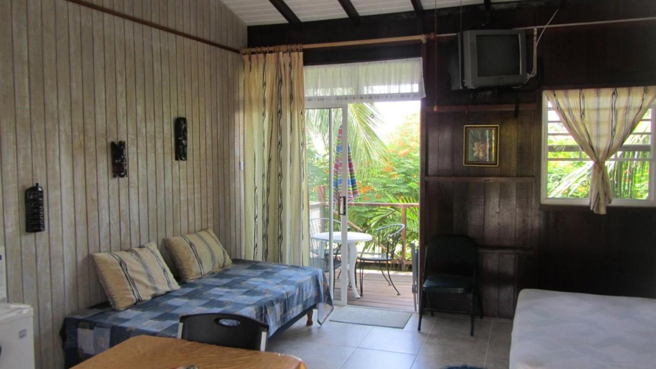 Dolphin Inn Guesthouse & Apartments Christ Church Esterno foto