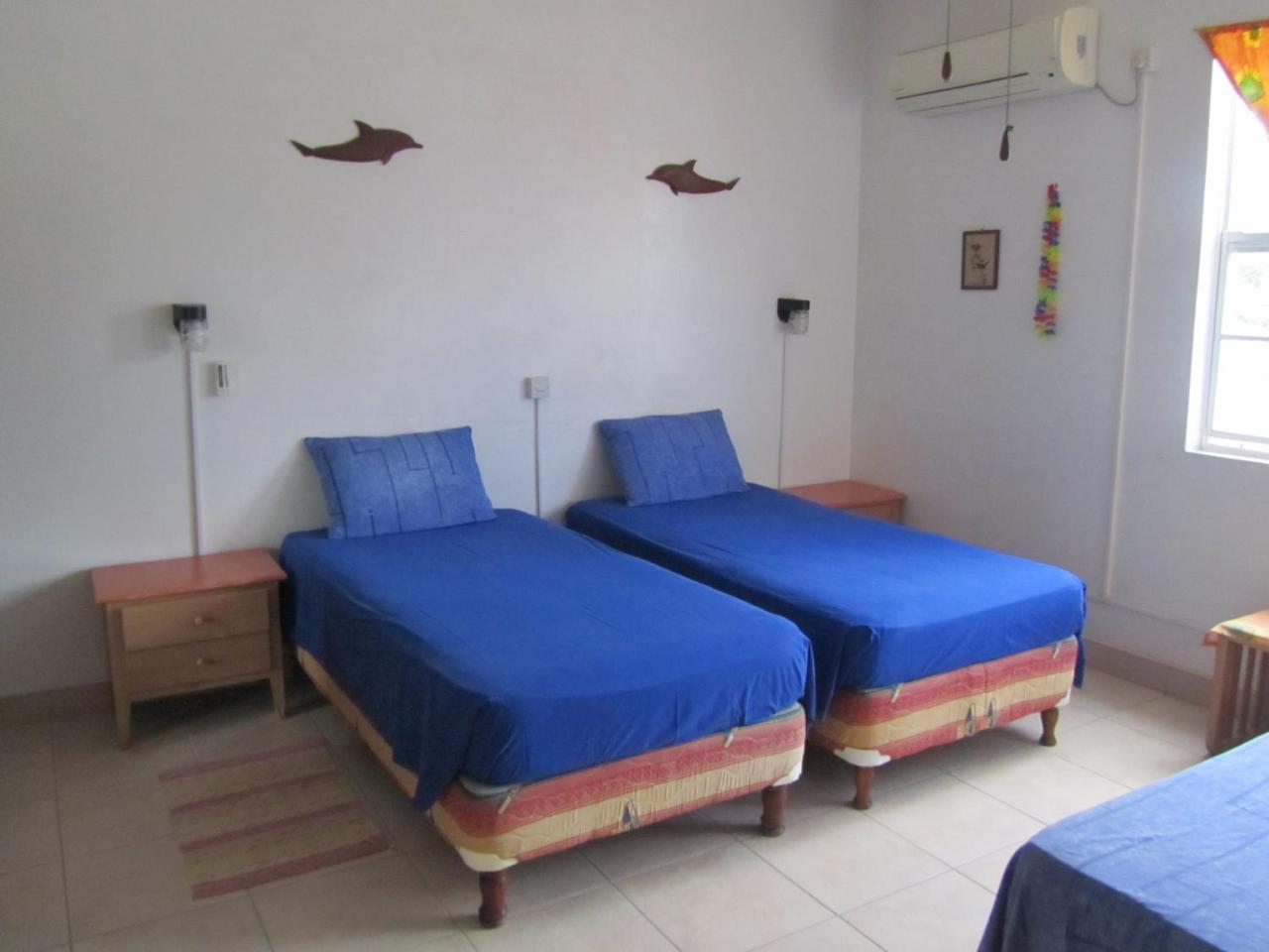 Dolphin Inn Guesthouse & Apartments Christ Church Esterno foto