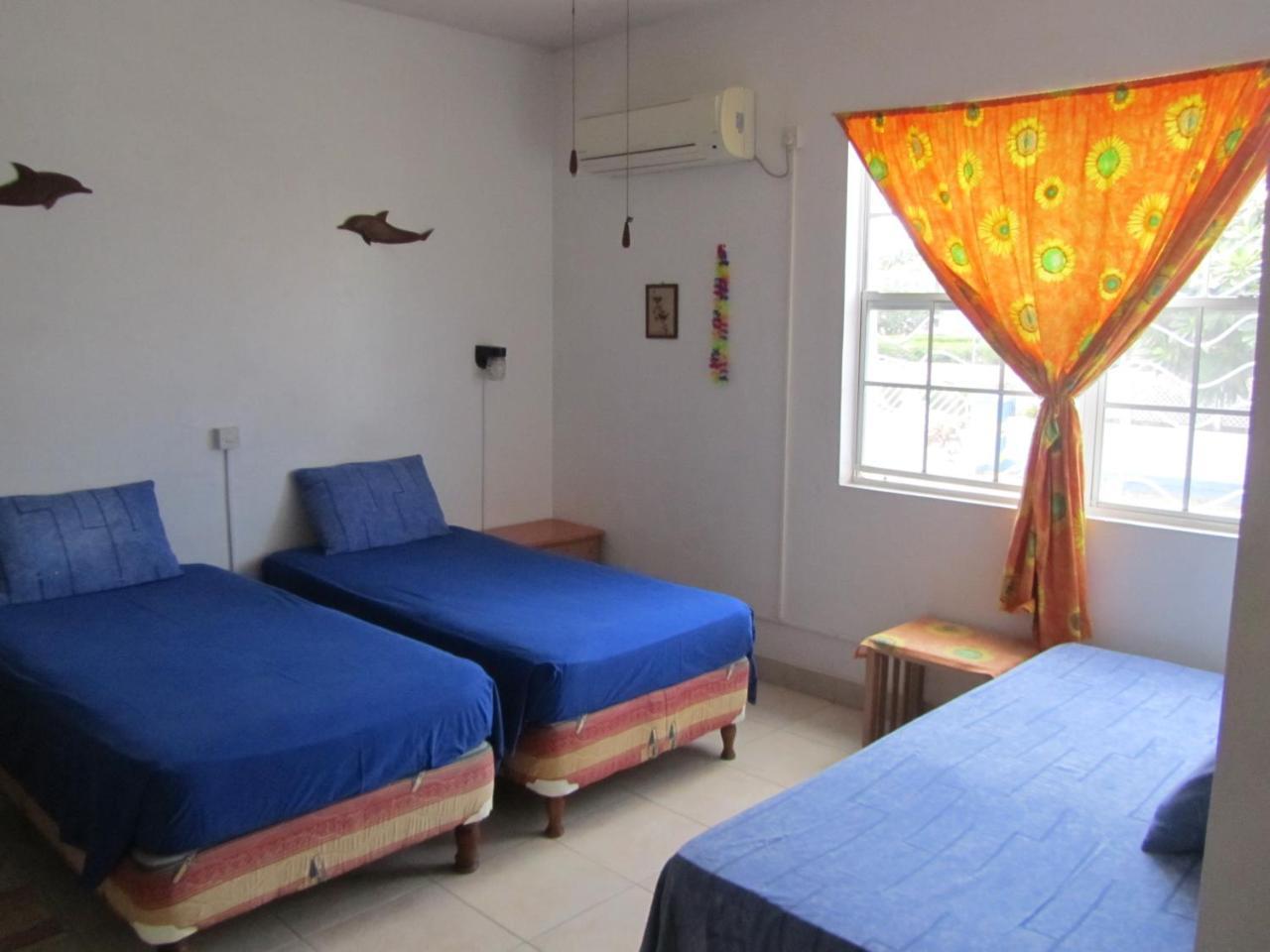 Dolphin Inn Guesthouse & Apartments Christ Church Esterno foto