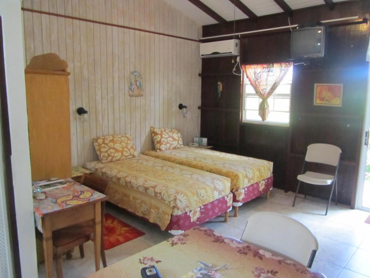 Dolphin Inn Guesthouse & Apartments Christ Church Esterno foto