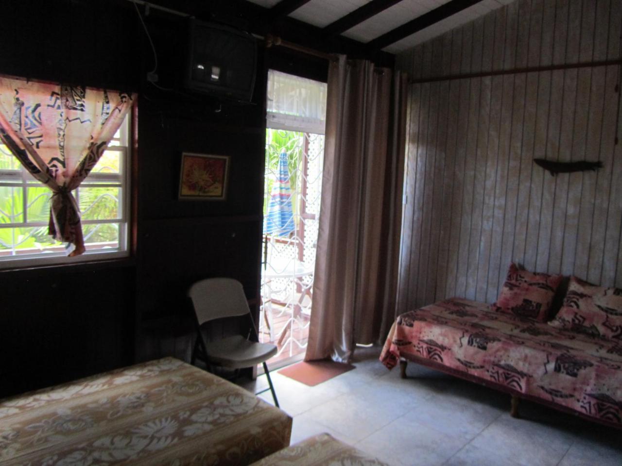 Dolphin Inn Guesthouse & Apartments Christ Church Esterno foto