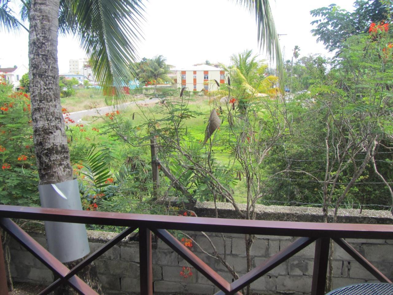 Dolphin Inn Guesthouse & Apartments Christ Church Esterno foto