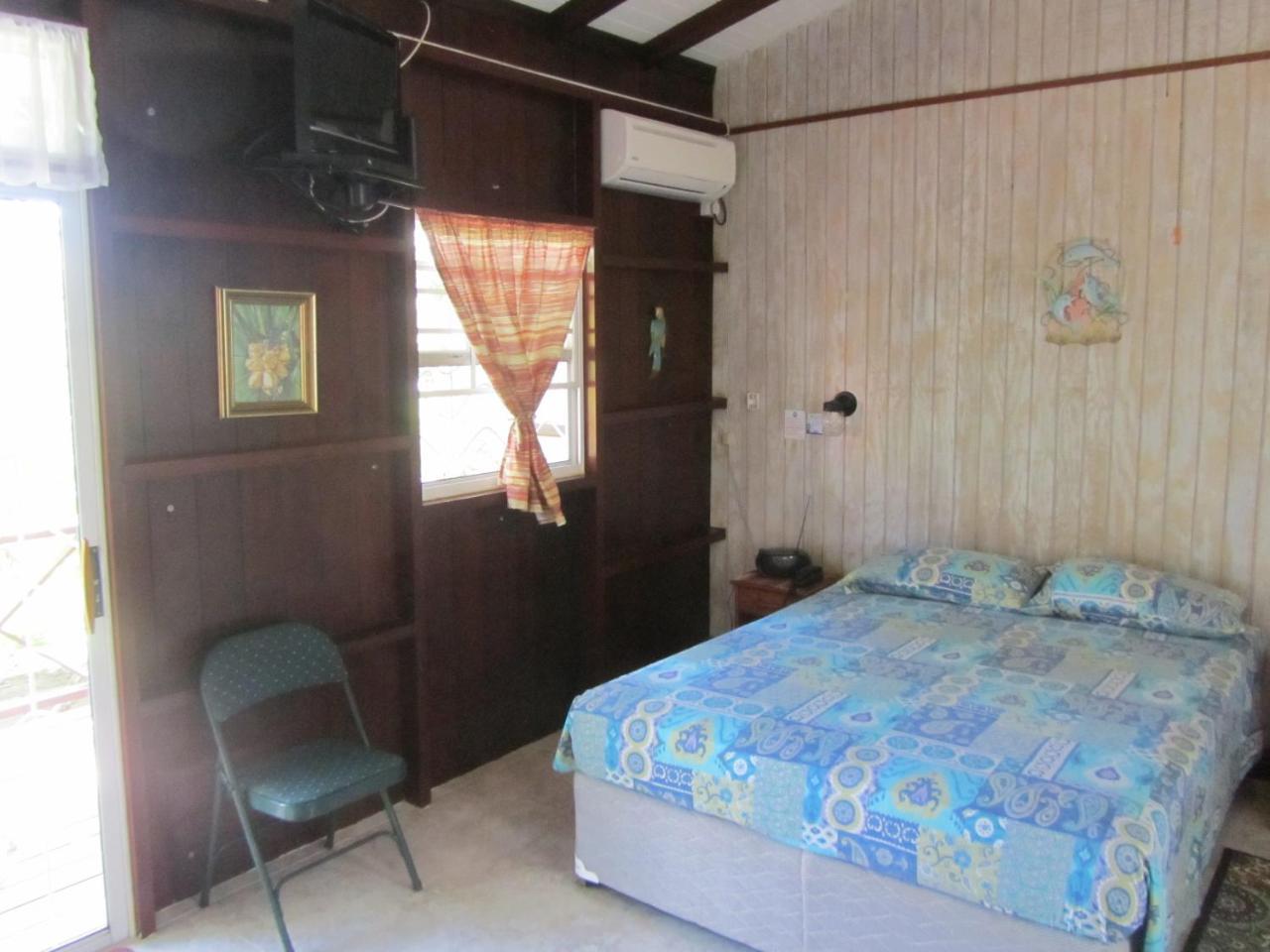 Dolphin Inn Guesthouse & Apartments Christ Church Esterno foto