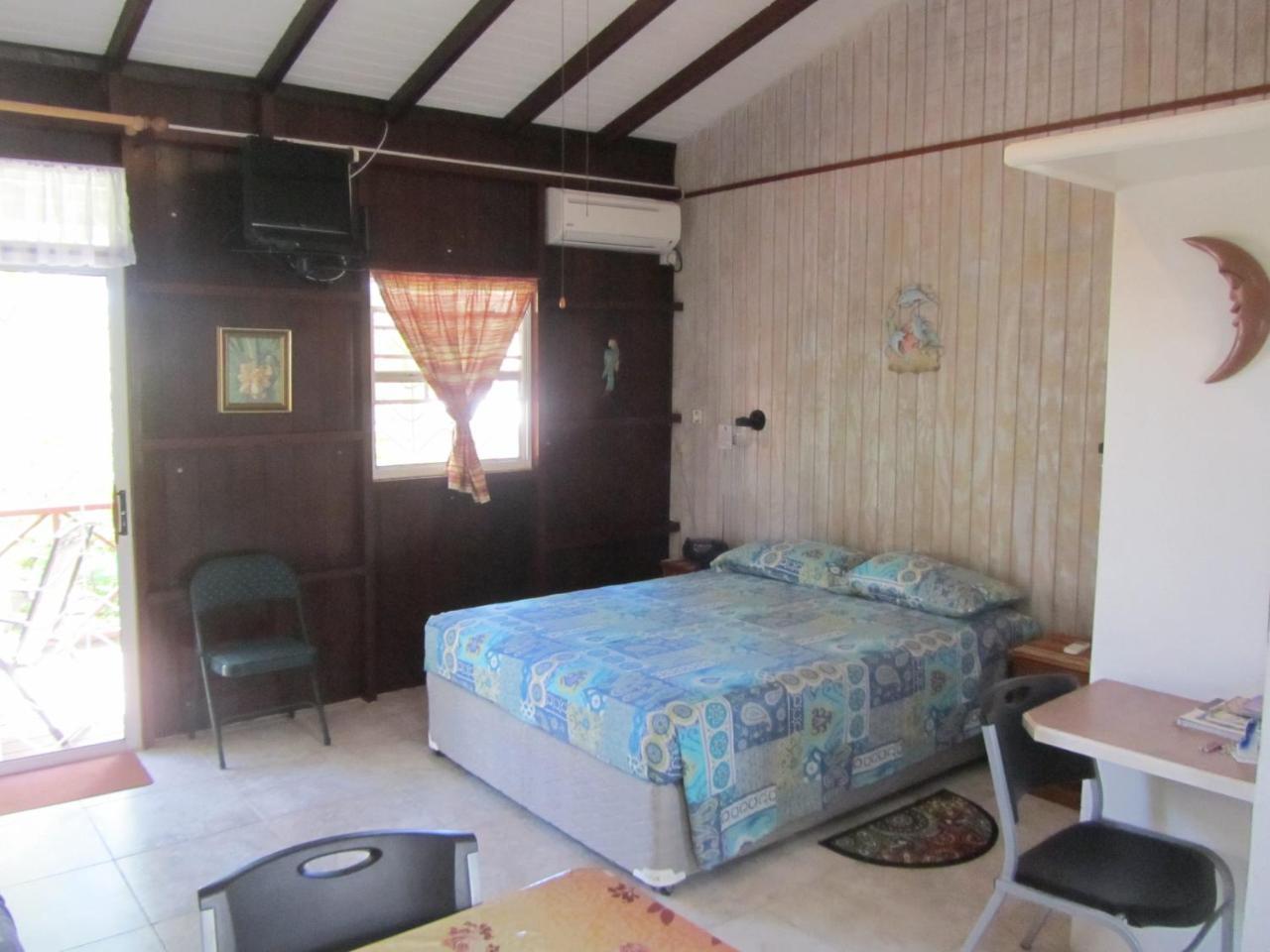 Dolphin Inn Guesthouse & Apartments Christ Church Esterno foto