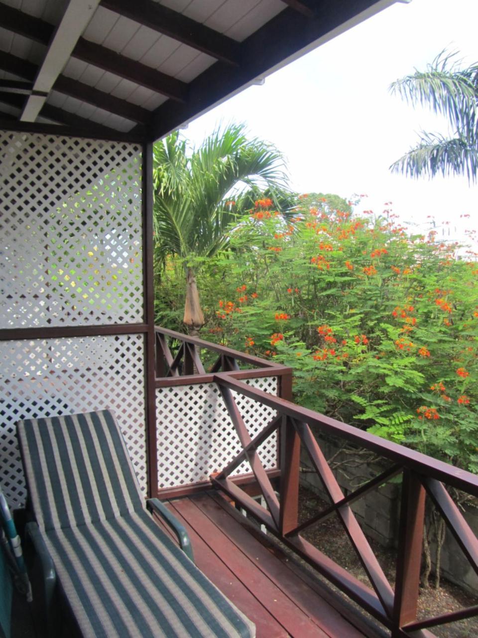 Dolphin Inn Guesthouse & Apartments Christ Church Esterno foto