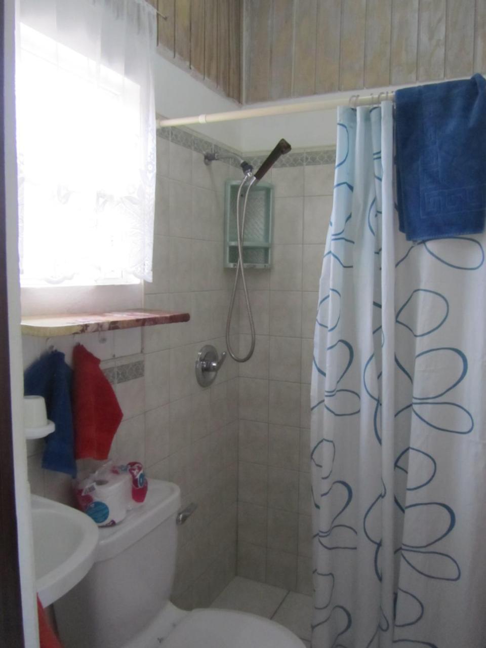 Dolphin Inn Guesthouse & Apartments Christ Church Esterno foto